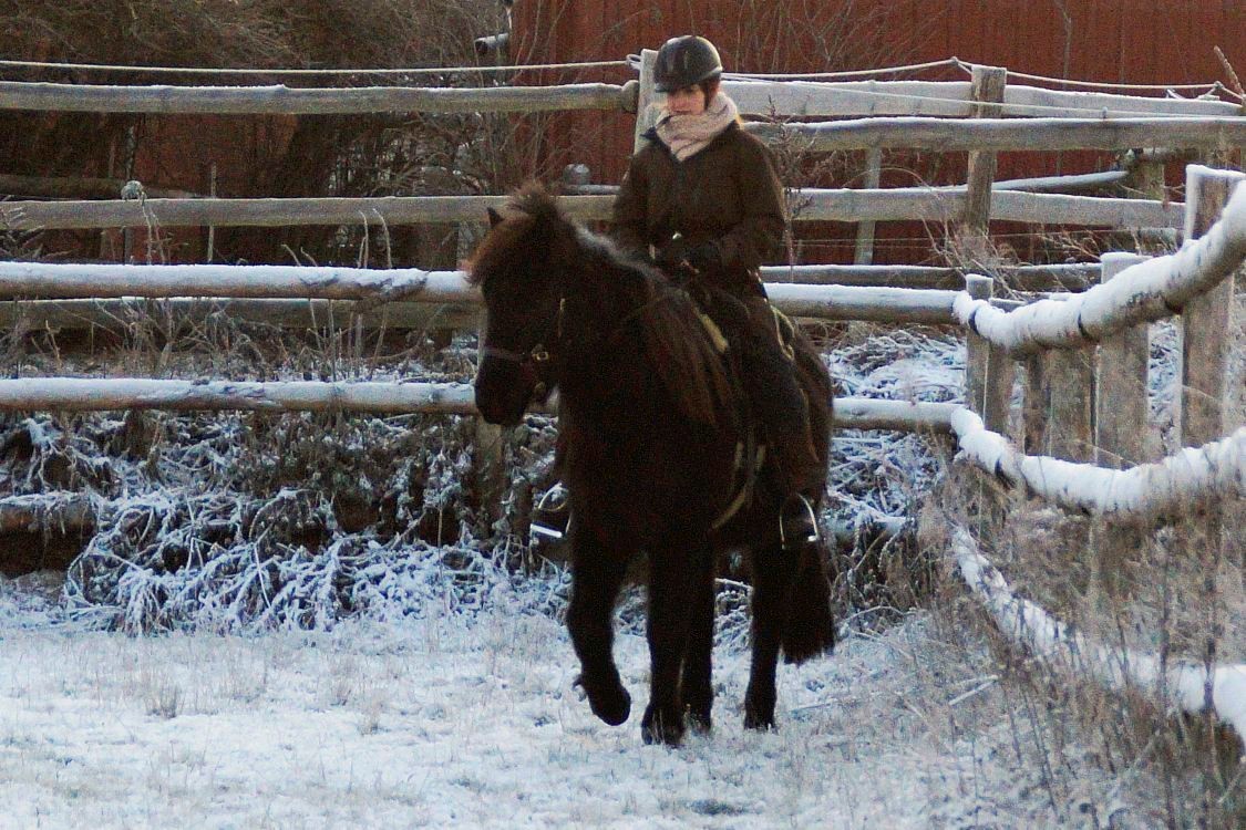 reitunterricht wendland